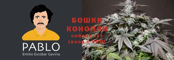 шишки Арсеньев