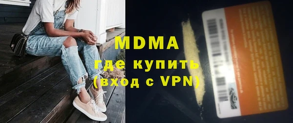 шишки Арсеньев