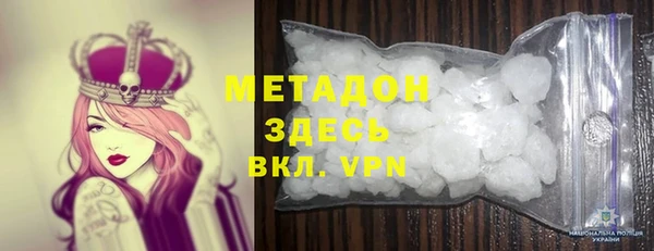 прущие грибы Аркадак