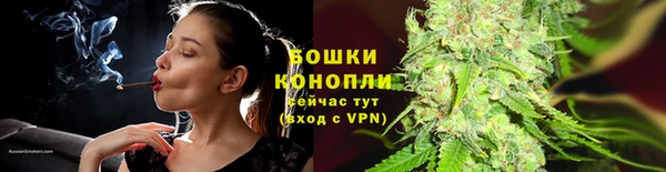 прущие грибы Аркадак