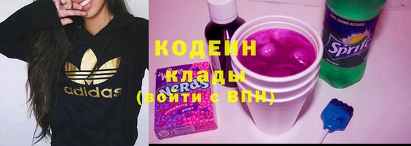 шишки Арсеньев