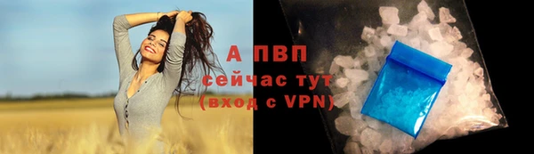 шишки Арсеньев