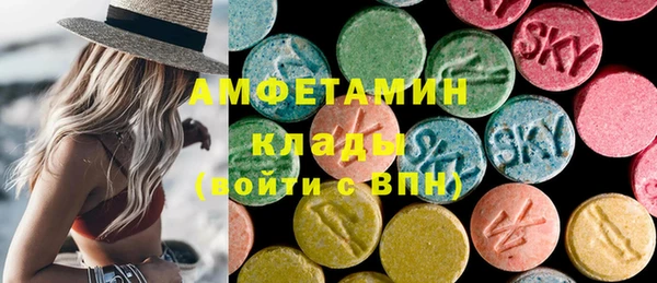 шишки Арсеньев