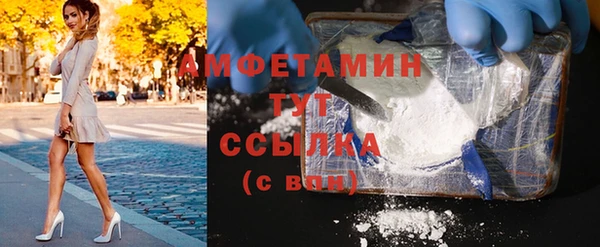 шишки Арсеньев