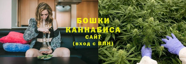 шишки Арсеньев
