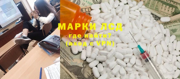прущие грибы Аркадак