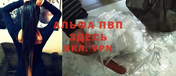 шишки Арсеньев